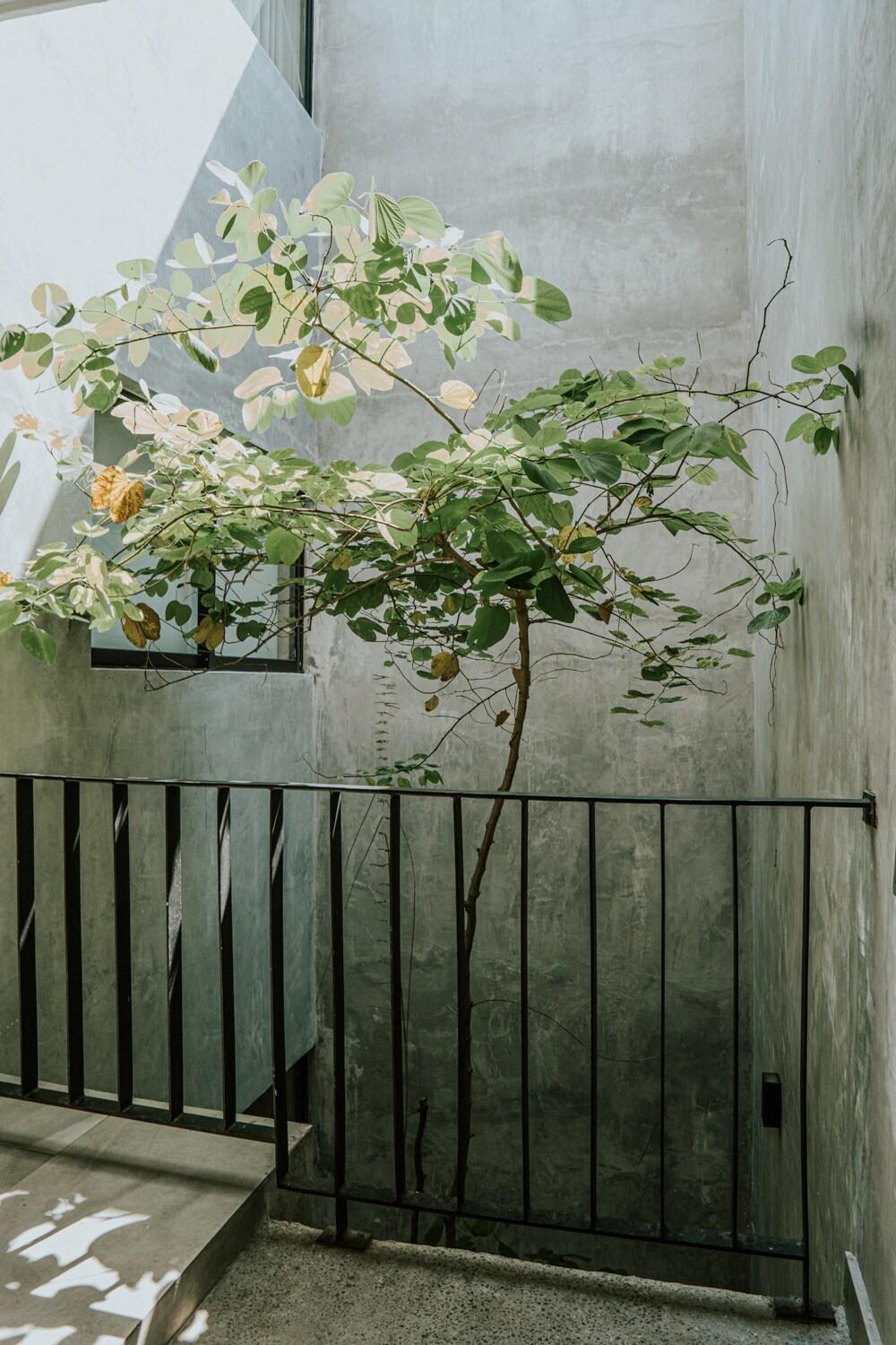 Few Steps From The Beach, At Golden Zone Apartamento